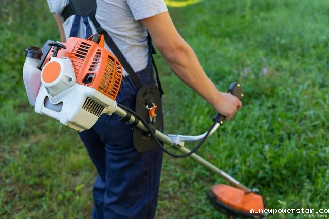 1722670506915935.jpg u=659609553,203467277&fm=30&app=106&f=JPEG.jpg