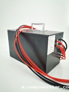 高尔夫球车电池